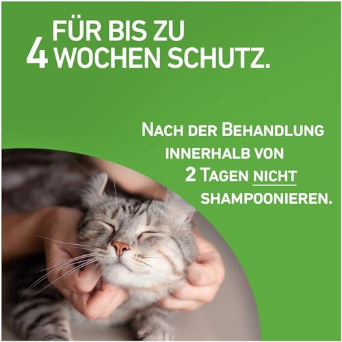 Frontline Combo Spot on Katze 6 Pipette + gratis Fellhandschuh