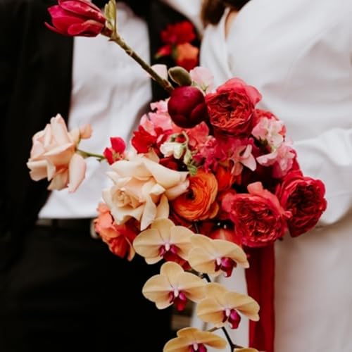 『Johana y Michael, una colorida boda sorpresa』のカバーアート