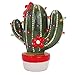 Milltown Merchants Ceramic Christmas Cactus - Vintage Light-Up Cactus Tree - Nostalgic Christmas Decoration