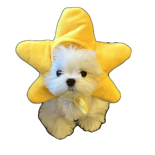 Effonek Lƌ̖Xqybgt@bVړIʂ݃wbhJo[킢^jo[T (S,E)