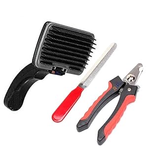 RvPaws Combo Of 2 Grooming Brush and Nail Cutter for Dogs, Spring-Loaded Self-Cleaning Feature, Remove Shedding Hair, Tangles and Matting, Flexible Coated Bristle Tips Small To Large Breeds Dog