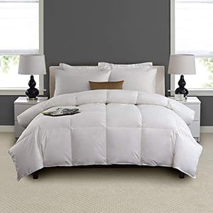 Image of Pacific Coast Feather Pacific Coast Hotel Comforter, Queen, White