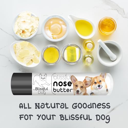 Image of The Blissful Dog Corgi Unscented Nose Butter, 0.15-Ounce