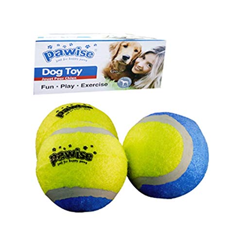 Pawise Tenis Topu 24 Adet Karton Kutulu