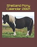 Shetland Pony Calendar 2021