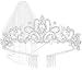 AOPRIE Tiara and Crown for Women Silver Bride Veil Silver Bridal Shower Supplies Bachelorette Party Decorations Gift Sets