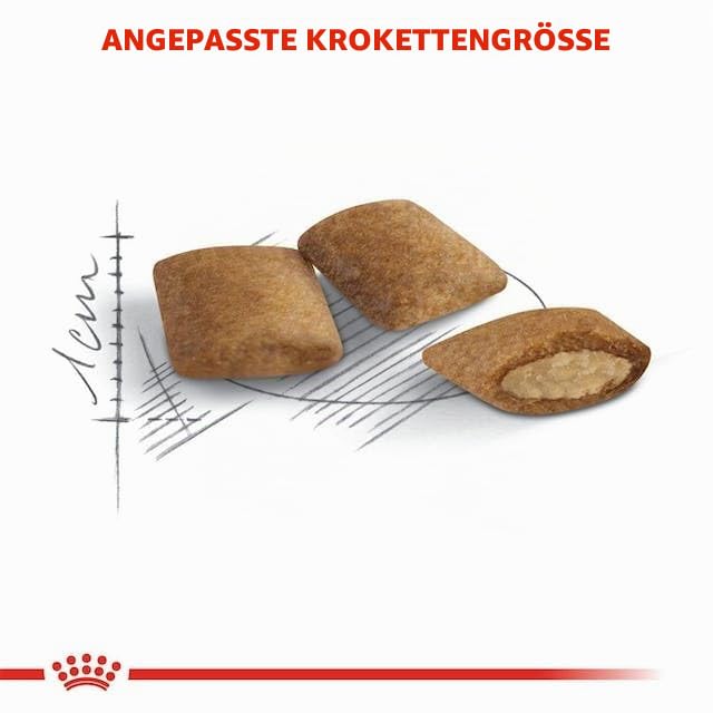 Royal Canin Senior AGEING 12+ | Doppelpack | 2 x 400 g | Alleinfuttermittel für Senior Katzen ab dem 12. Lebensjahr | Kann dazu beitragen die Harnwegsfunktion zu unterstützen
