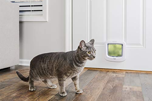 PetSafe Manuelle Katzenklappe, Handverriegelung mit 4 Verschlussoptionen, Mit Wetterdichtung, Katzen bis 7 kg, Weiß