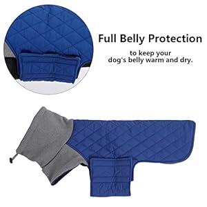 Geyecete Dachshund Coat,Dachshund Winter Coat,Warm Dachshund Coat Waterproof Windproof, High Neckine String Holes Miniature Dachshund Jacket for Small Dog-Blue-M Geyecete Dachshund CoatDachshund Winter CoatWarm Dachshund Coat Waterproof Windproof High Neckine String Holes Miniature Dachshund Jacket for Small Dog Blue M