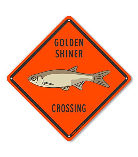 Panneau en aluminium Golden Shiner Crossing orange de 25,4 cm
