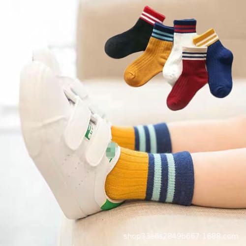 5 pairs - 's spring and summer thin mesh cartoon fresh and cute comfortable socks3