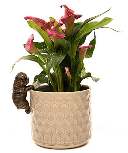 Pot Buddies Decorative British Bulldog Pot Hanger Ornament - Bronze Color