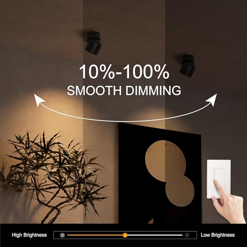 Image of Aisilan 15W LED Dimmable Ceiling Spotlight, Adjustable Directional Surface Flush Mount Lighting, Wall Spot Lights Indoor Accent Fixture for Art Picture Gallery Paintings, 3000K