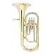 Mendini by Cecilio Euphonium, Lacquer Brass B Flat Euphonium with Tuner, 3 Stainless Steel Pistons, Mouthpiece, Hard Case, Polishing Cloth and Gloves (Gold)