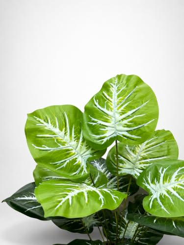 Image of Cocco.BUA Artificial Plant with Black Pot, 18 Leaves, 76 CM (2.5 Feet) (Caladium Plant)