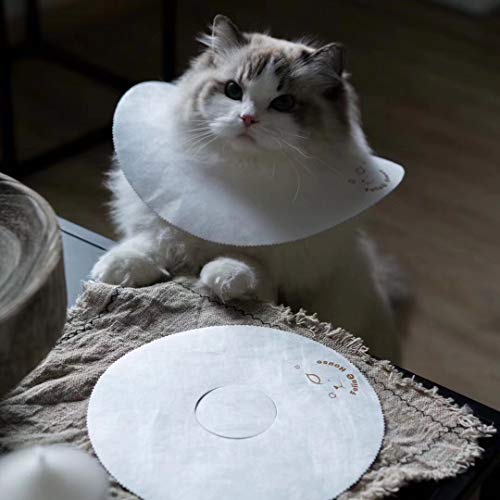 diy cat cone