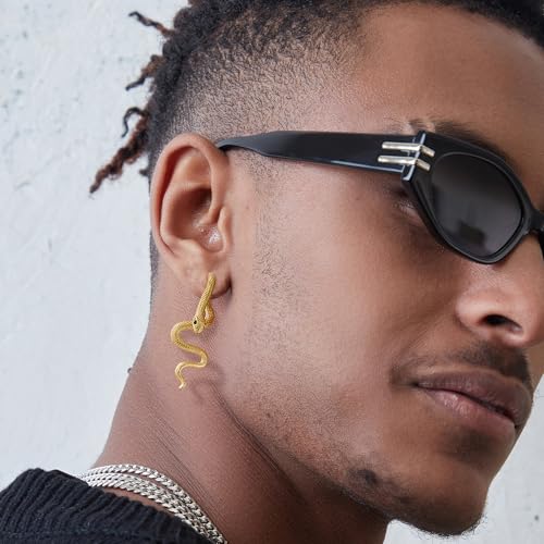 Snake Earrings for Women Men, Punk Gothic Stainless Steel Stud Earrings, Hypoallergenic Gold/Black/Retro Gray/Silver Snakes Jewelry with Zircon, Statement Cool Rock Hip Hop Biker Earring4