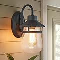 Tarentlight Outdoor Wall Sconce with Clear Seeded Glass Shade,Waterproof Exterior Fixture in Oil Rubbed Bronze Finish,Suit for Wet Locations,Easily Installed in Porch Patio Entryway,Doorway,Corridor