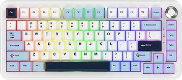 URX x AJAZZ AK820 MAX Plus Wireless RGB Mechanical Keyboard | 75