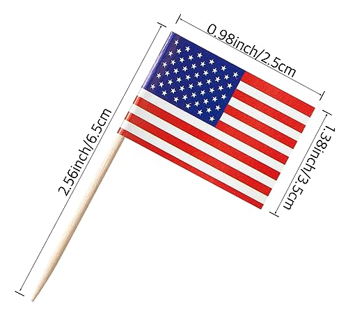 CANTENDO 105 Pcs Latin America 21 Countries Toothpick Flags, Mini Stick Cupcake Toppers, Spanish Language Speaking Assorted Latino Party Decoration Celebration Cocktail Food Bar Cake Flags