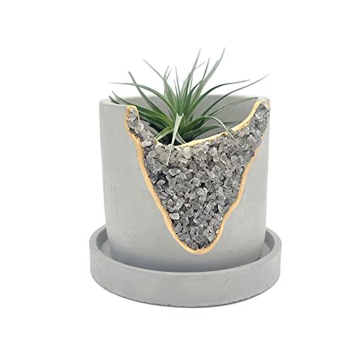 Crystal Plant Pot: Stunning Planters For Your Home