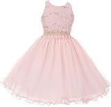 Big Girls' Sleeveless Glitter Floral Waistline Pageant Flower Girl Dress Pink 12 (C17B07)