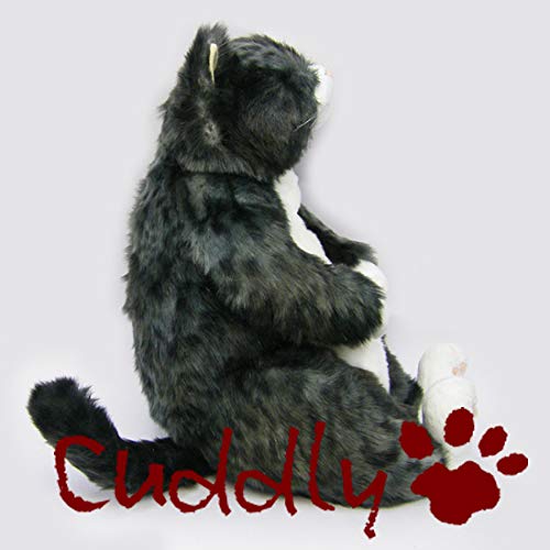 Amazon.co.jp: ＜Cuddly＞カドリー こだわりのぬいぐるみ 猫の