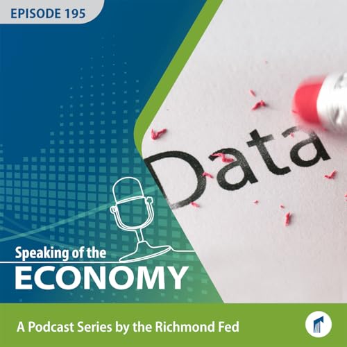 Understanding the Economy as Data Revisions Happen