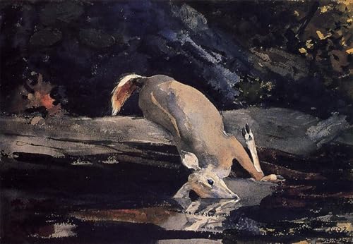 Cuadro en lienzo decoración oficina Winslow Homer Il Cervo Caduto pintura vertical 60x90