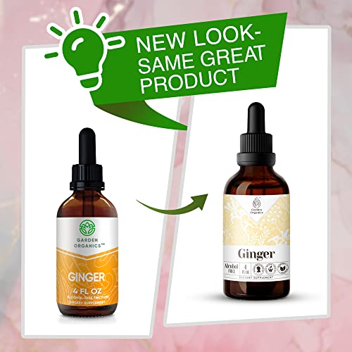 Ginger Alcohol-Free Natural Tincture Extract, Immune System Booster, Liquid Drops Made From 100% Ginger (Zingiber Officinale) Dried Root (4 Fl Oz) #TOP2