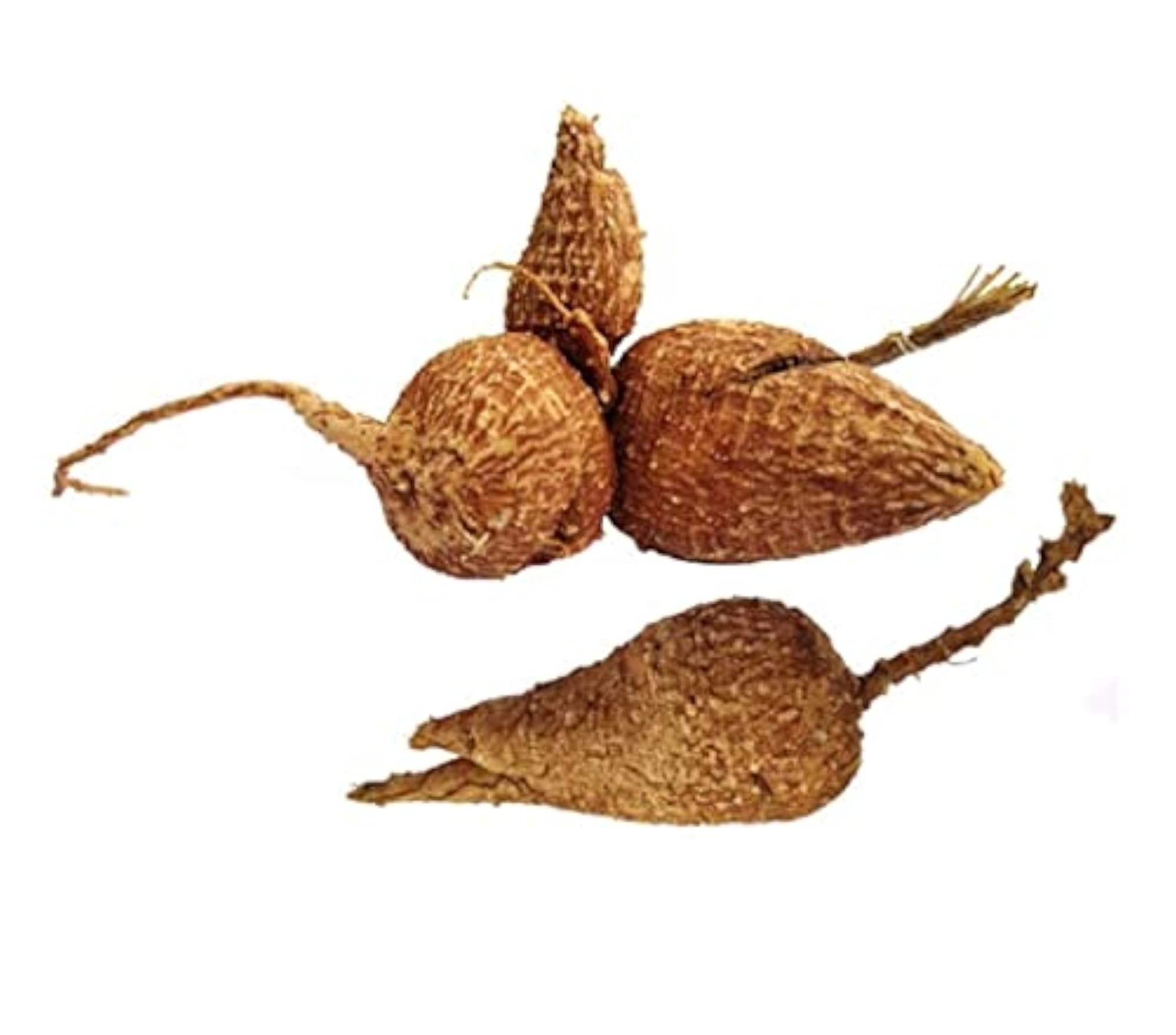 Vi Vethan Garudan Kilangu, 1 Piece