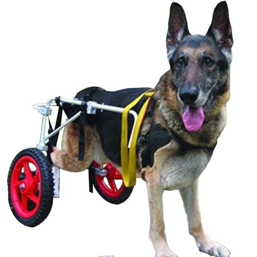 Silla de ruedas para perros grande ajustable con patas traseras para perros, herramienta ligera para caminar con carrito para de piernas asistida (L, XL)