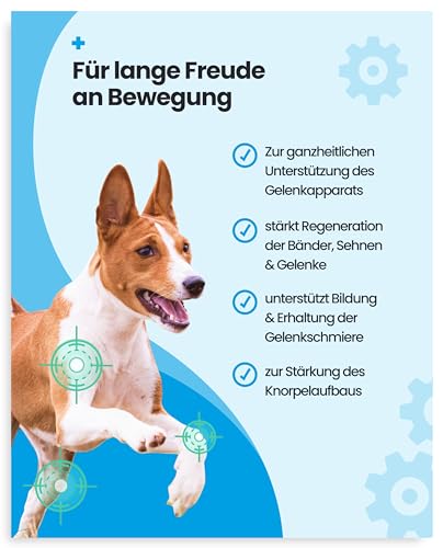 PAWSAN® Gelenktabletten Hund - Grünlippmuschel Hund - HOCHDOSIERT - Gelenktabletten für Hunde mit Teufelskralle Hund, MSM Hund & Kollagen Hund - Gelenk- & Knochenschutz für Hunde