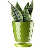 ORTEN Maceta de plástico para interiores con platillos para plantas de casa, verde)
