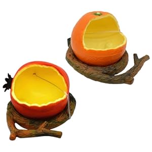 2pcs Parrot Feeding Box Bird Cuttlebone for Parakeet Cockatiel Treats Accessory Tray Parakeet Cage Accessories Food Serving Tray Parrot Water Bowl Sprinkler Plastic Food re-usable