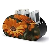 Taille unique : L'organiseur de télécommandes mesure 21,1 x 7,4 x 11,9 cm. Ses cinq compartiments permettent de garder votre bureau bien rangé et organisé, idéal pour ranger vos appareils électroniques comme les télécommandes et les manettes multimédia, ainsi que vos stylos, crayons, pinceaux de maquillage, lunettes ou cosmétiques.