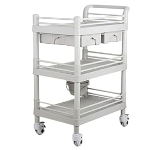 Myrtfk KK258 grauer Salonwagen mit 3 Ablagen