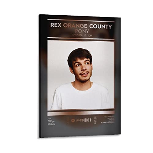 Poster toile Rex Orange County PONY 9 pour une déco de chambre cosy