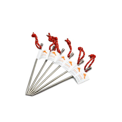 TOAKS チタンテントペグ ６本