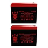 Neptune Power Products replacement 12V 10AH Battery for Lashout 24 Volt 400 Watt Scooter - 2 Pack