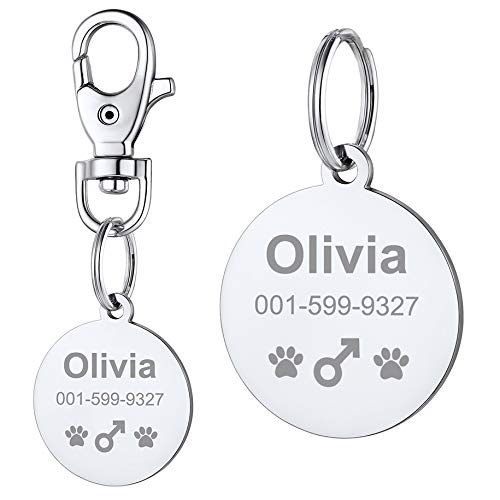 PROSTEEL Pendentif pour Chien Personnalisable Médaille Rond Acier Inoxydable Personnalisé Gravure Laser Cadeau Accessoire pour Animaux Domestiques Cover