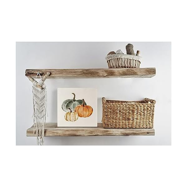   KEUSPI-Fall-Pumpkin-deocr-fall-bathroom-decor-fall-signs-for-home-decor-Wood-Sign-PlaqueFall-Signs-fall-pumpkin-decor-fall-home-decor-indoor-bathroom-fall-decor-orange2-5x5inch