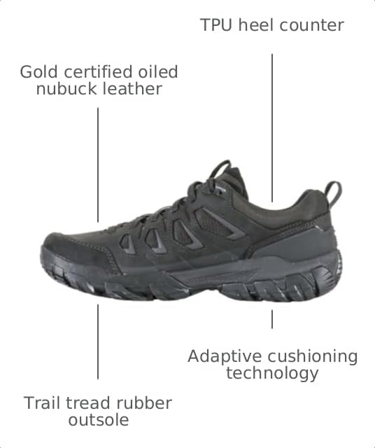 Image of Oboz Men's Sawtooth X Low Hiking Shoe
