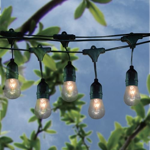 Brite Star 12 Lt Vintage T38 Patio Drop Lights, Clear, Black Wire