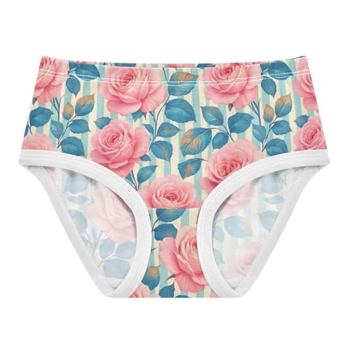 Joisal Toddler Girls Underwear 2t Cotton Cute Panties Girl Stylish Underpants Briefs Vintage Pink White Roses Blue