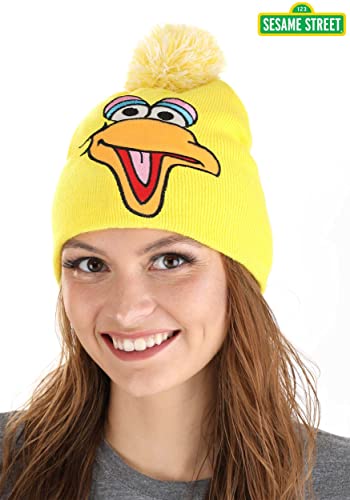 Big Bird Pom Winter Hat4