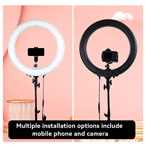 Ring Light with Tripod Stand