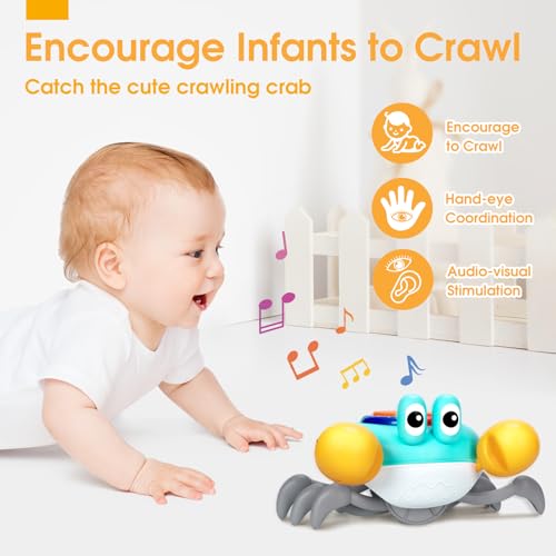 image for TooyBing Musical Crawling Crab Baby Toy, Tummy Time Toy for 6-12 Month