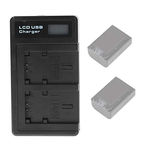 Chargeur de batterie NP FV100 USB double pour ne jamais manquer un souvenir