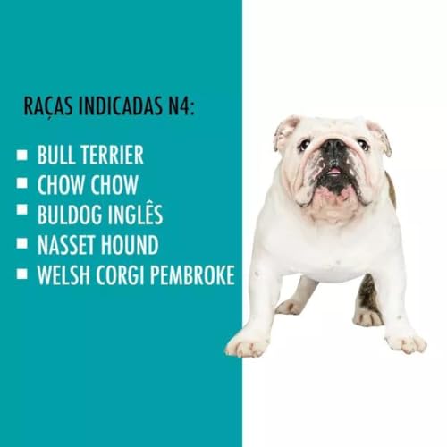 Casa Rinopet N°4 Azul